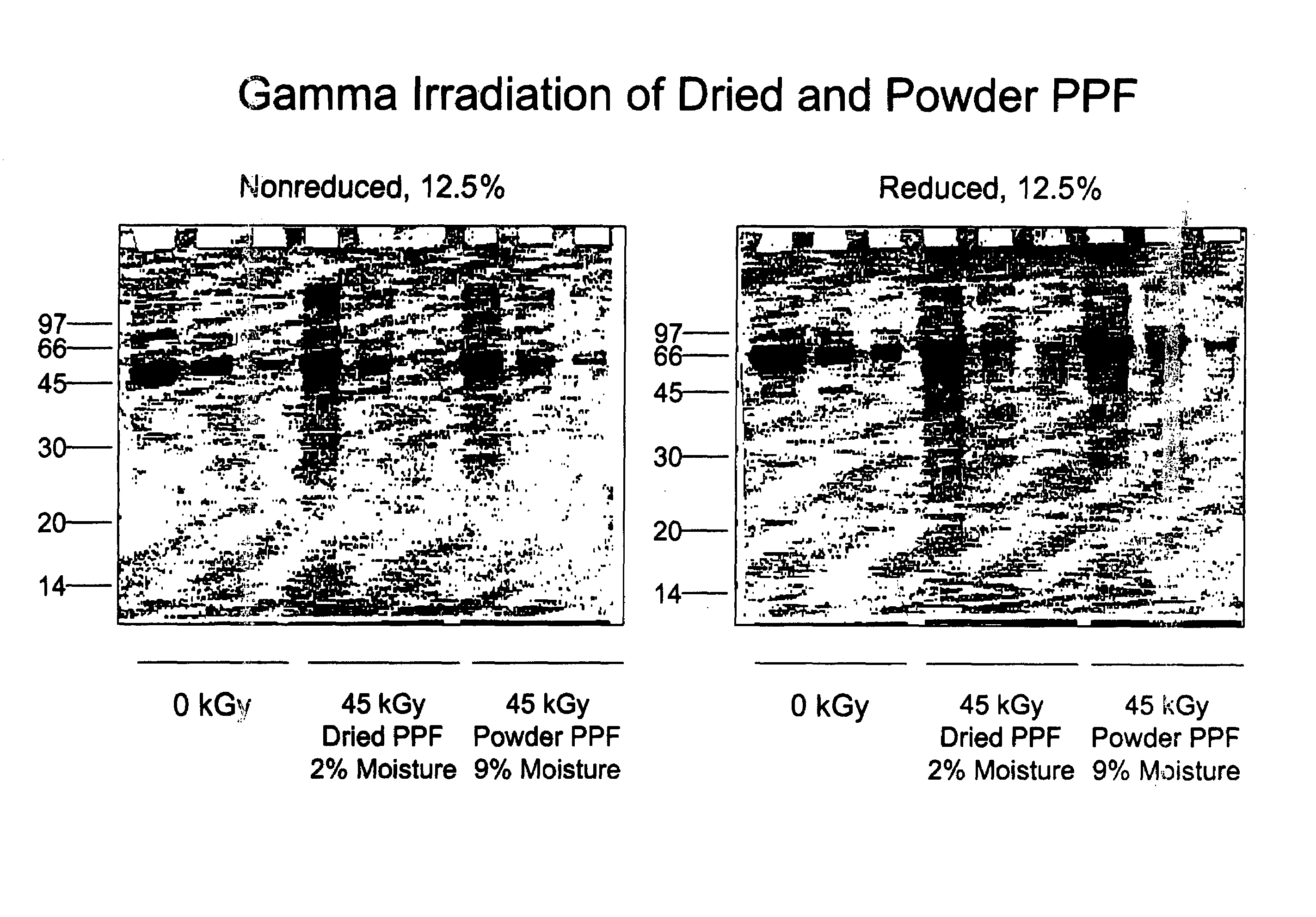 Methods for sterilizing preparations containing albumin