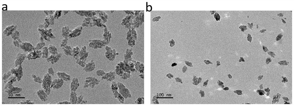 A kind of preparation method and application of pentafluorouracil nano drug preparation