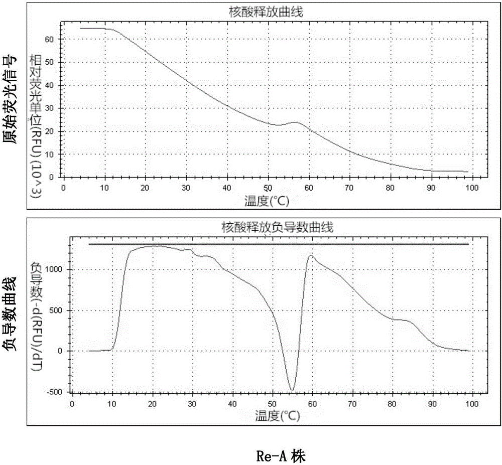Method for detecting heat stability of foot and mouth disease viral vaccine with hot luminescence technology and application thereof