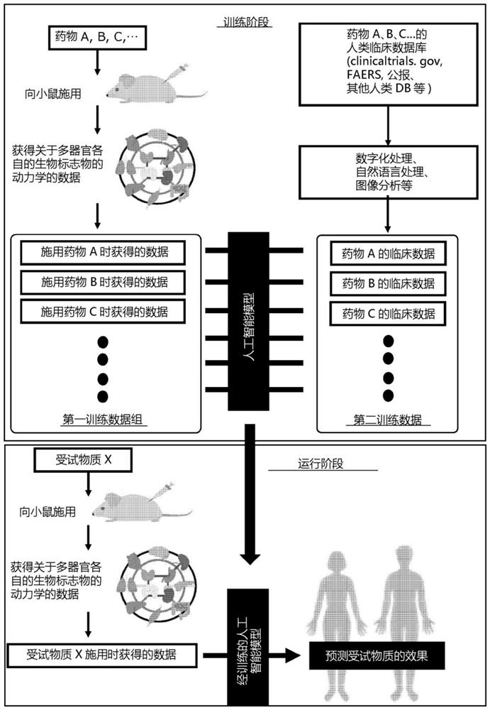 Artificial intelligence model for predicting effect of test substance on humans