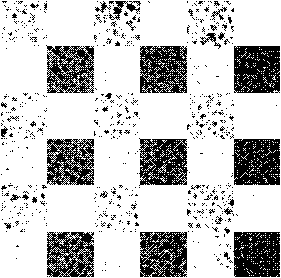 Immunochromatographic test paper for detecting diethylstilbestrol and preparation method thereof