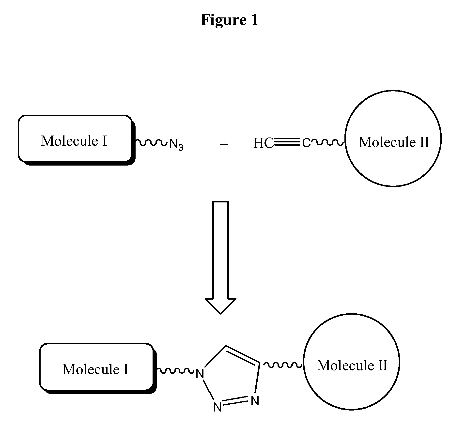 Compositions, probes and conjugates and uses thereof