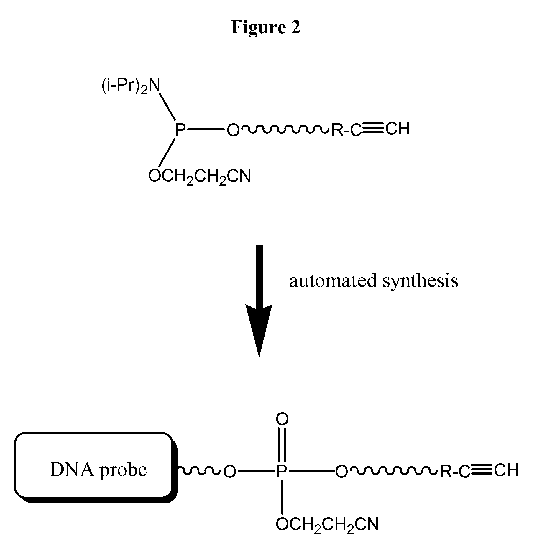 Compositions, probes and conjugates and uses thereof