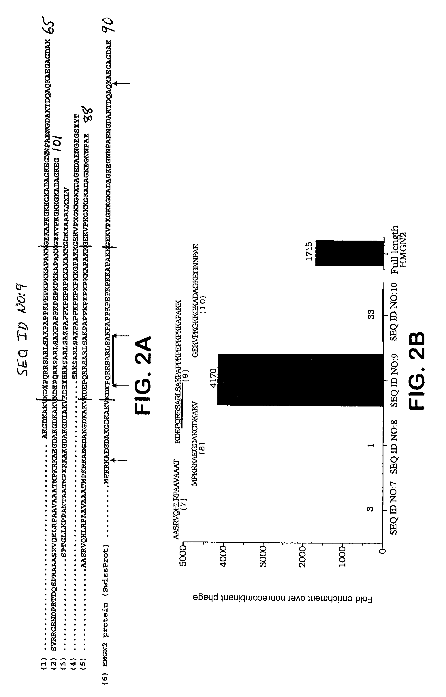 HMGN2 peptides and related molecules that selectively home to tumor blood vessels and tumor cells