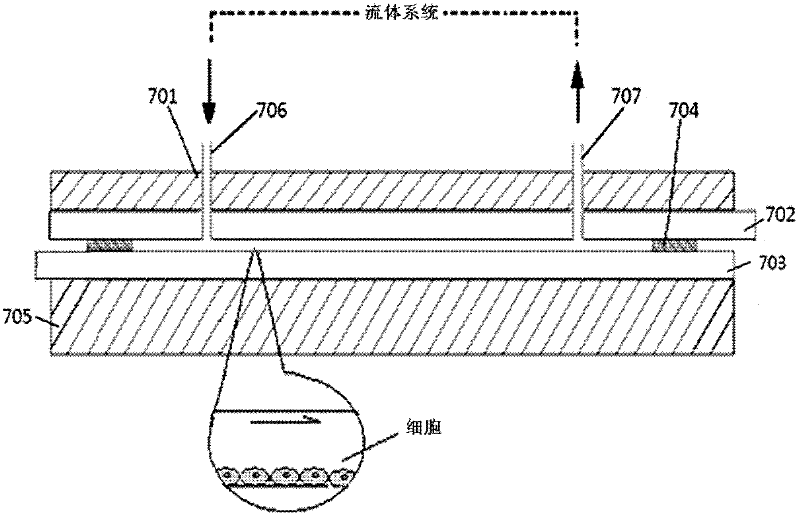 Cell culture device with shear force-uniform electric field stimulation