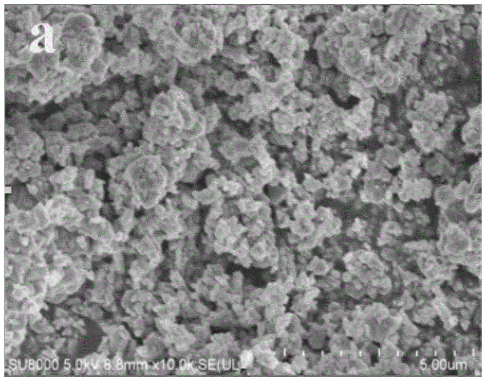 Composite photocatalyst for photocatalytic water splitting for hydrogen generation and preparation method and application of composite photocatalyst