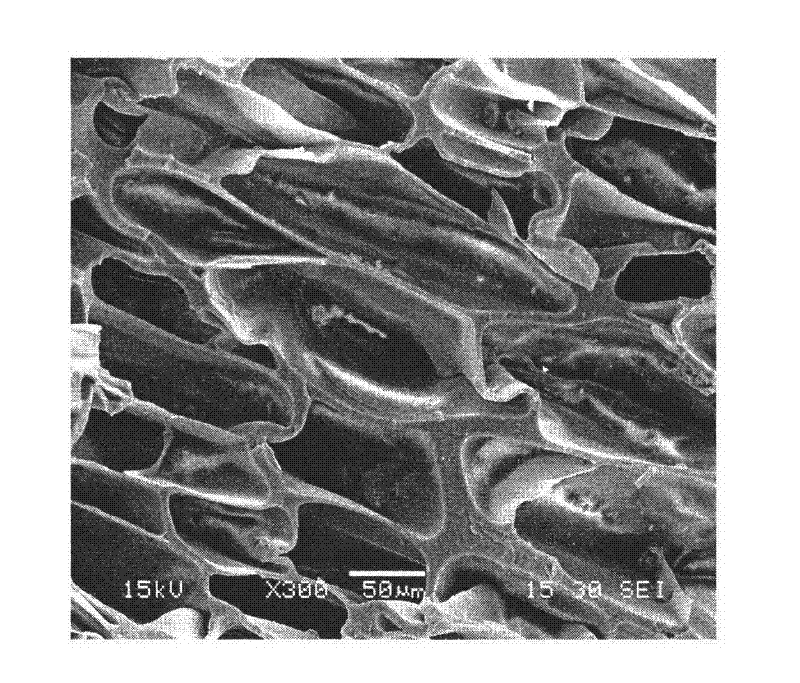 Crosslinking type polyvinyl chloride/thermoplastic polyurethane light foaming material and preparation method thereof