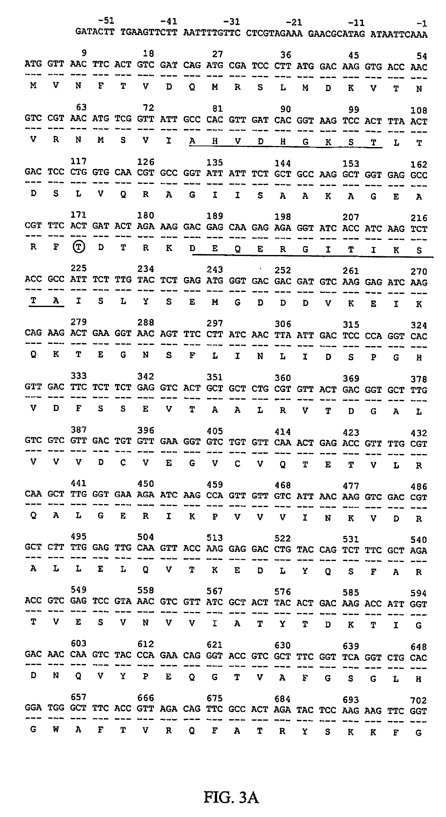 Methods for expression and purification of immunotoxins