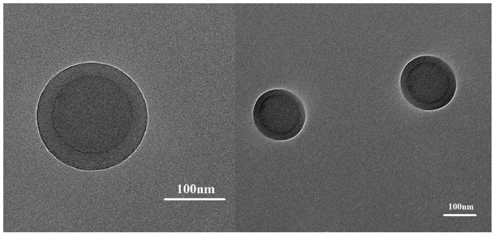 Preparation method of multi-level polymer composite nano-microspheres with pH sensitivity