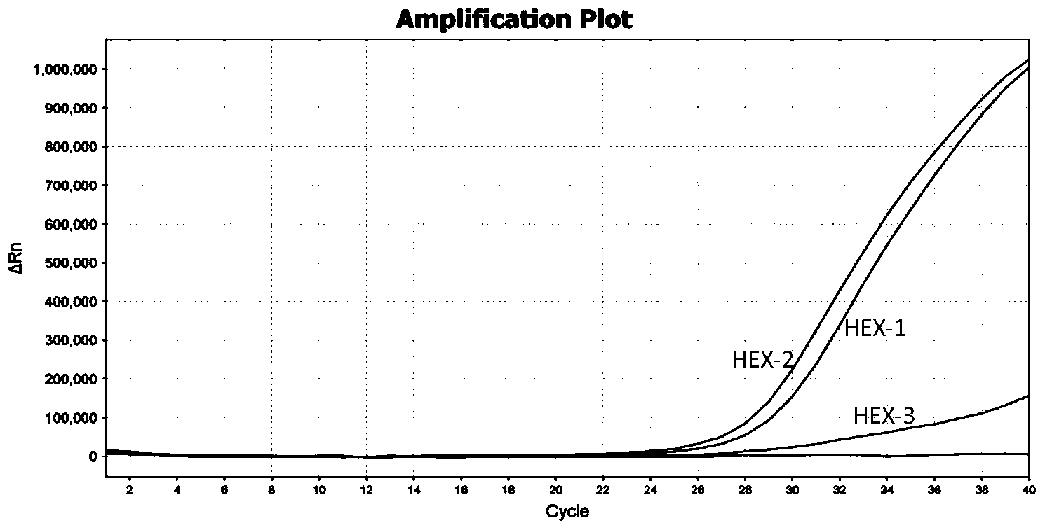 Method for detecting HLA-B * 5801 allele based on real-time fluorescence PCR