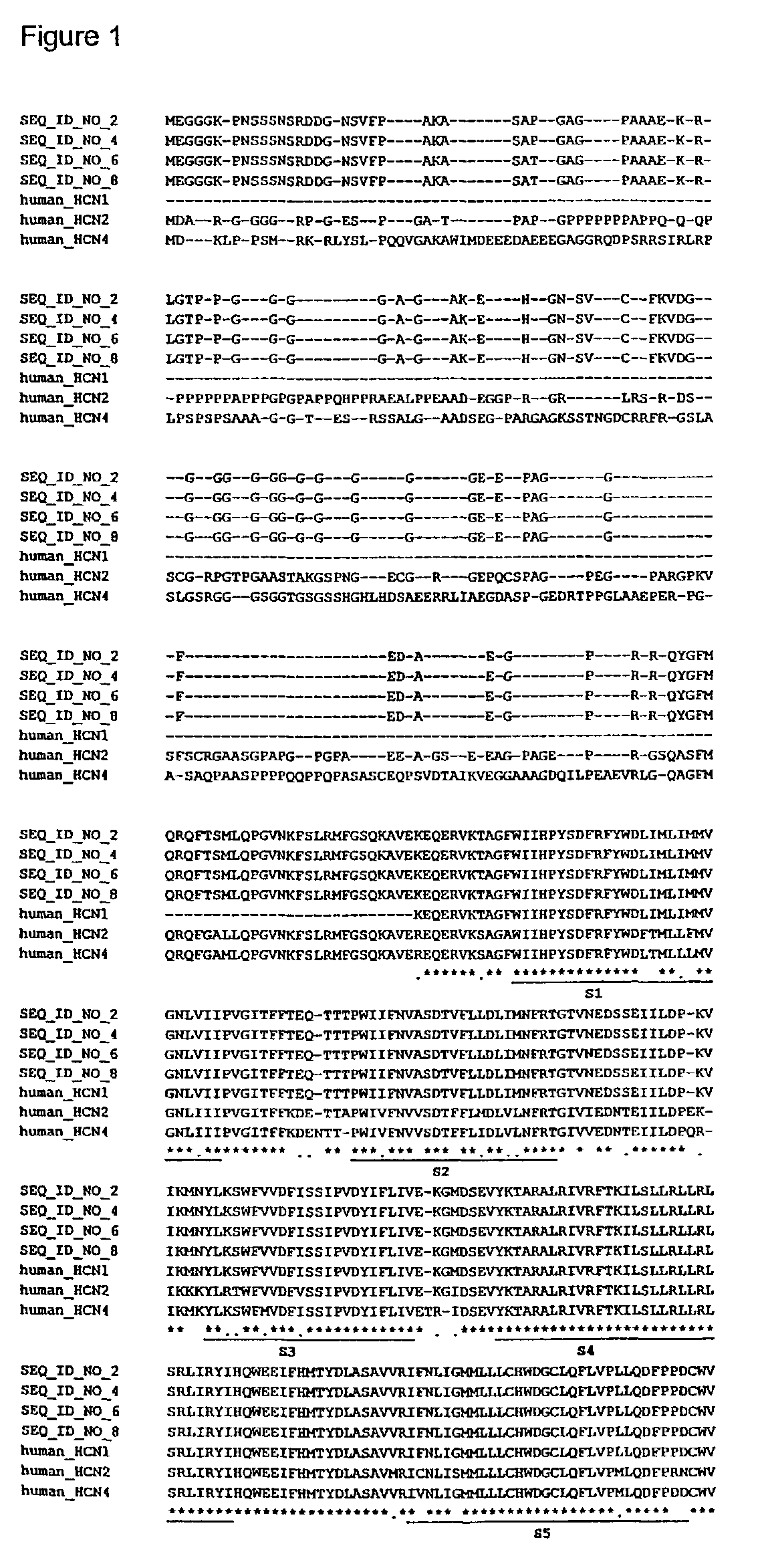 Full length human HCN1Ih channel subunit and variants