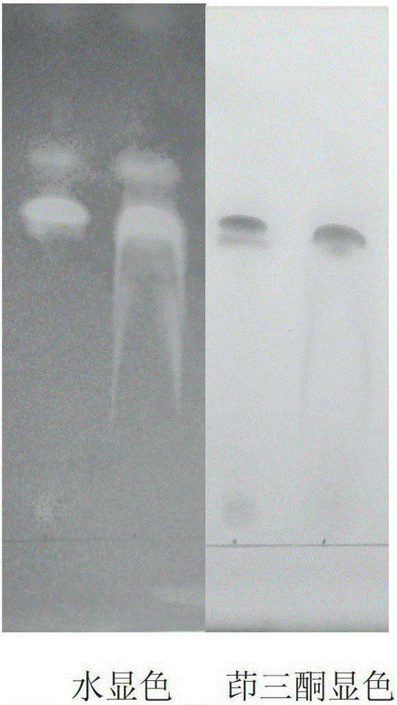 A lipopeptide and its derivatives, its preparation method and application