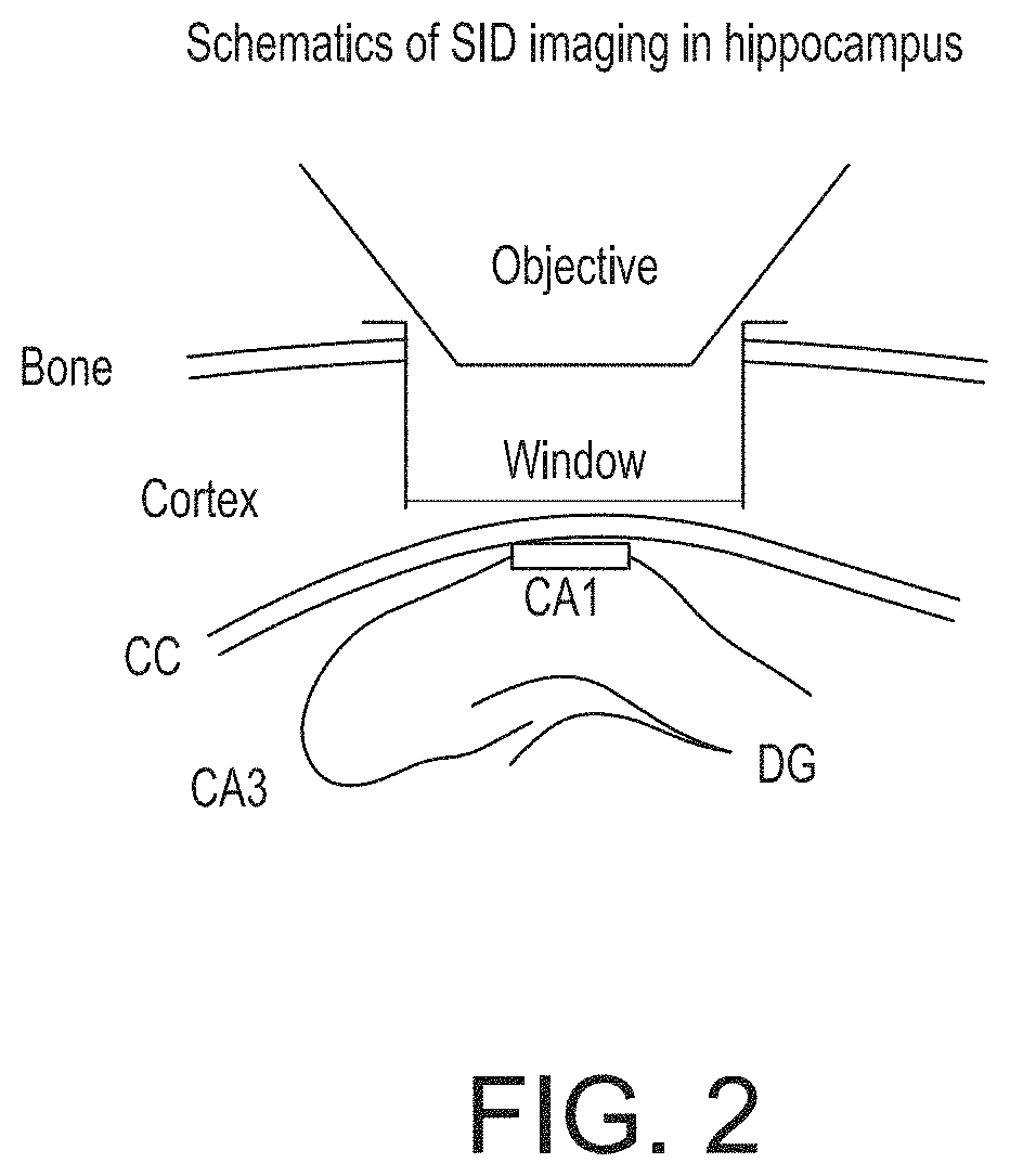 Imaging signal extraction apparatus and methods of using same