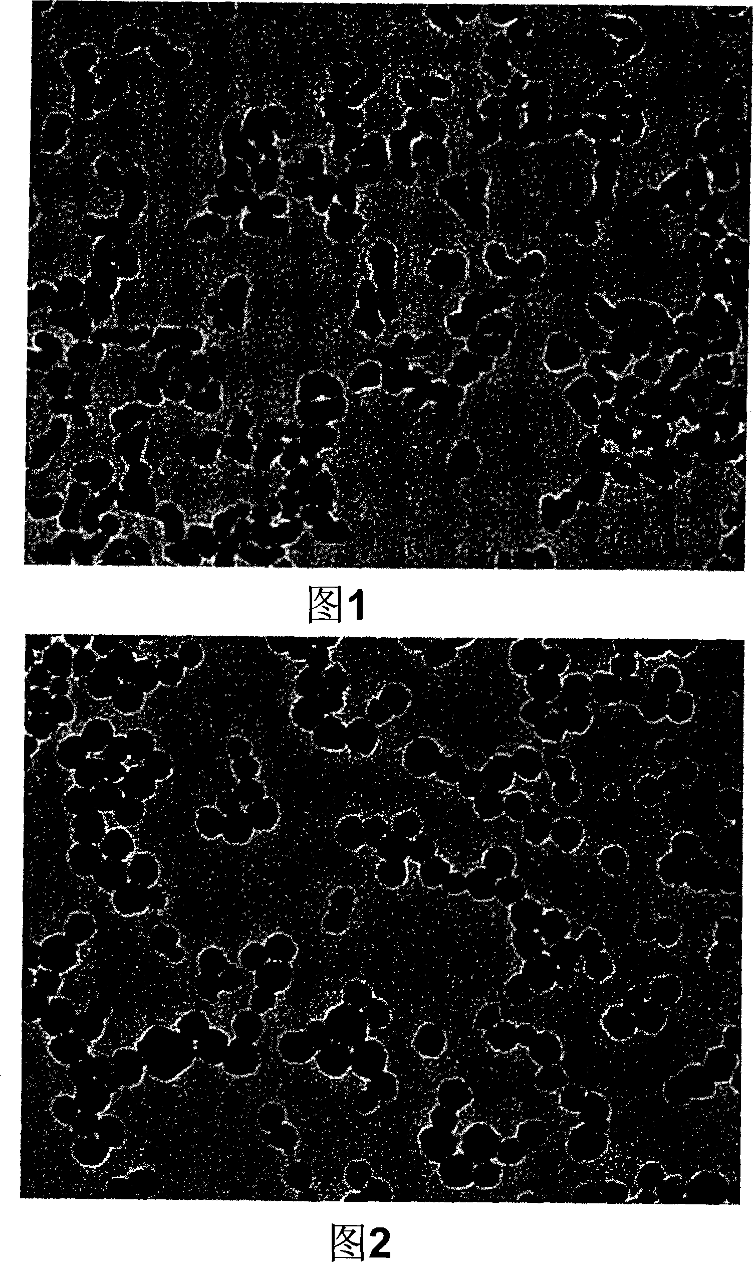 Polishing composition for semiconductor wafer, production method thereof, and polishing method