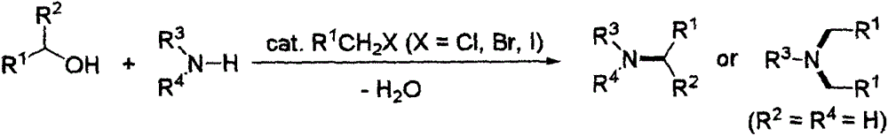 Green method for preparing amine derivatives from alcohols and amines