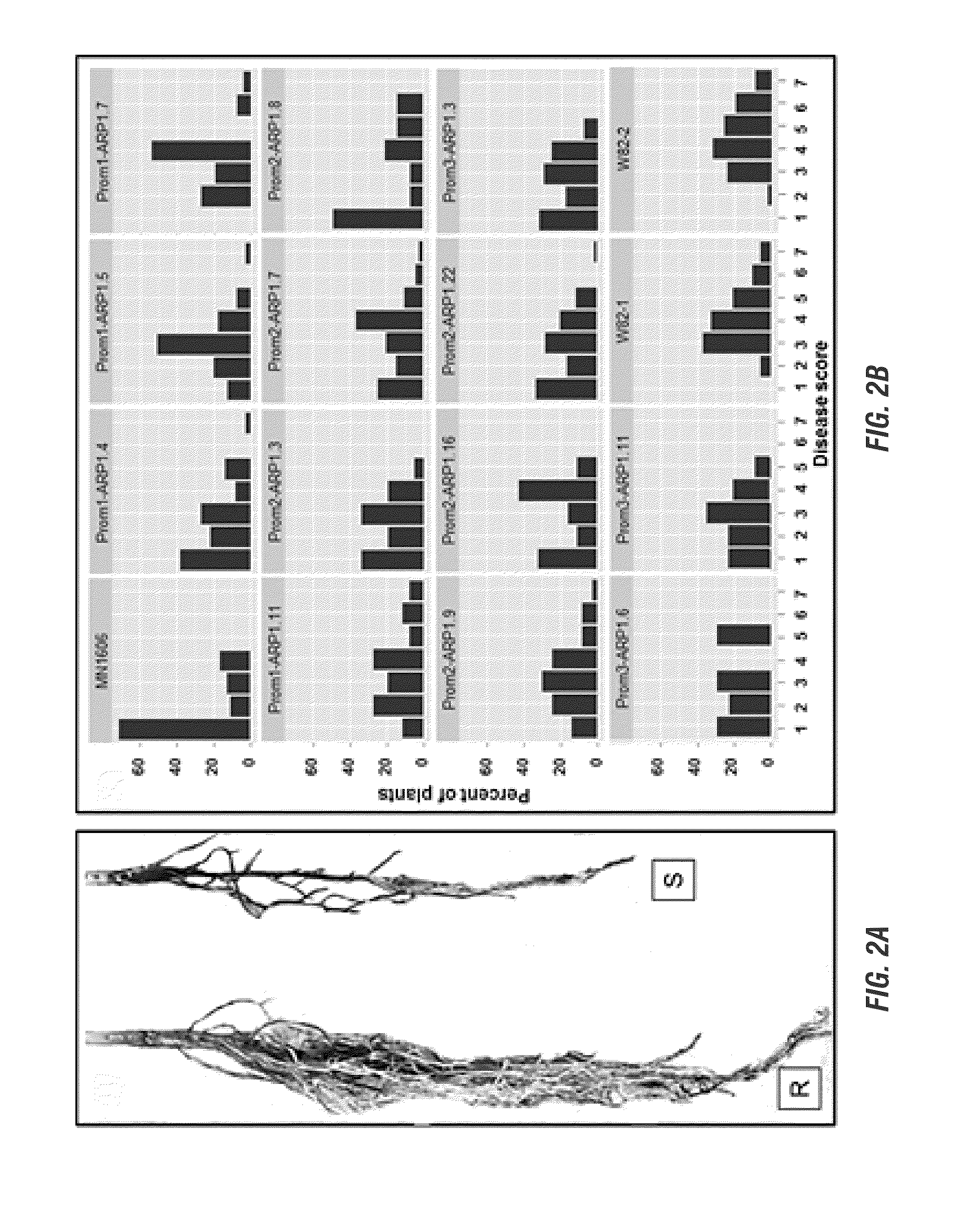 Glycine max resistance gene(s) and use thereof to engineer plants with broad-spectrum resistance to fungal pathogens and pests