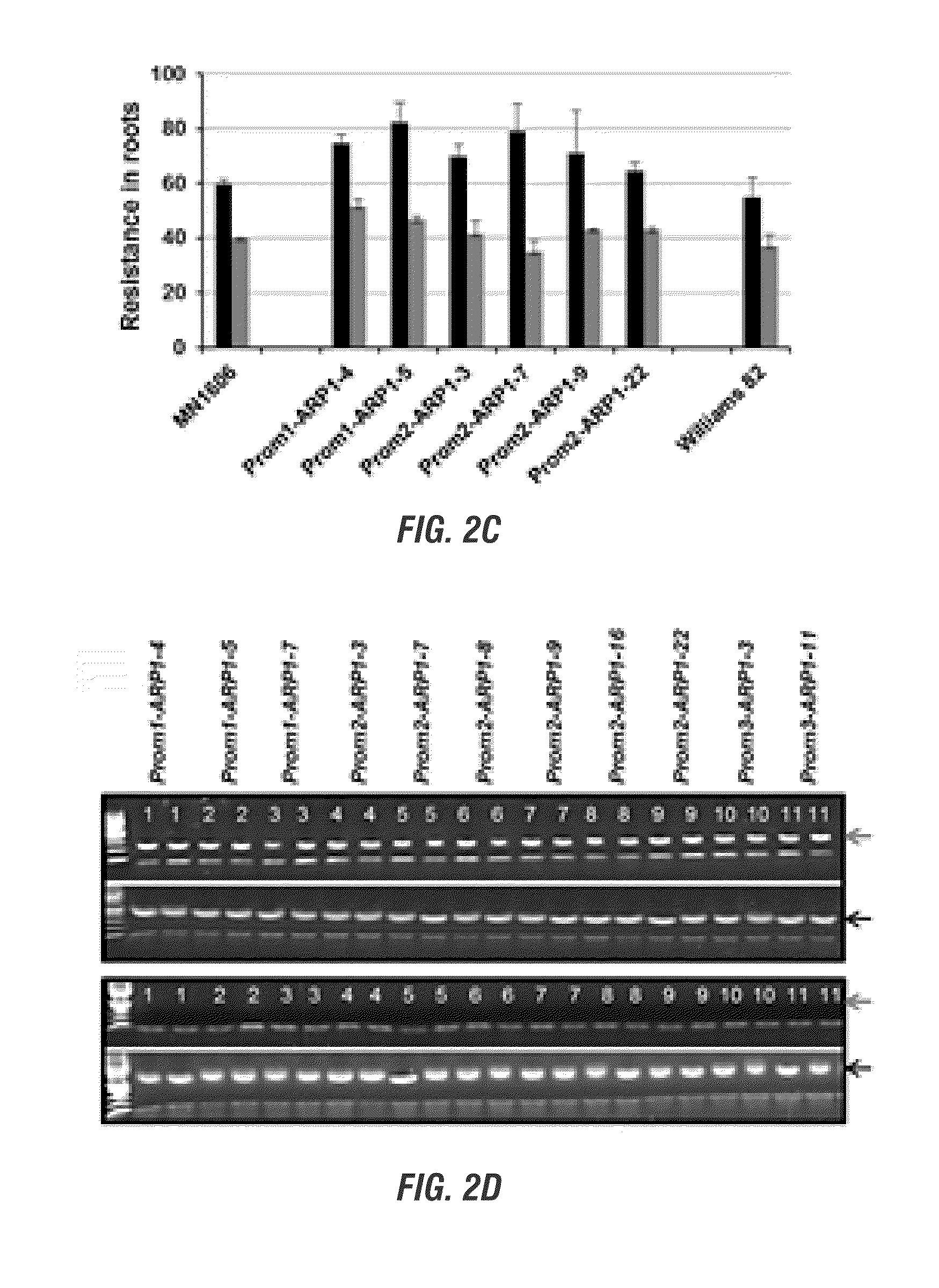 Glycine max resistance gene(s) and use thereof to engineer plants with broad-spectrum resistance to fungal pathogens and pests