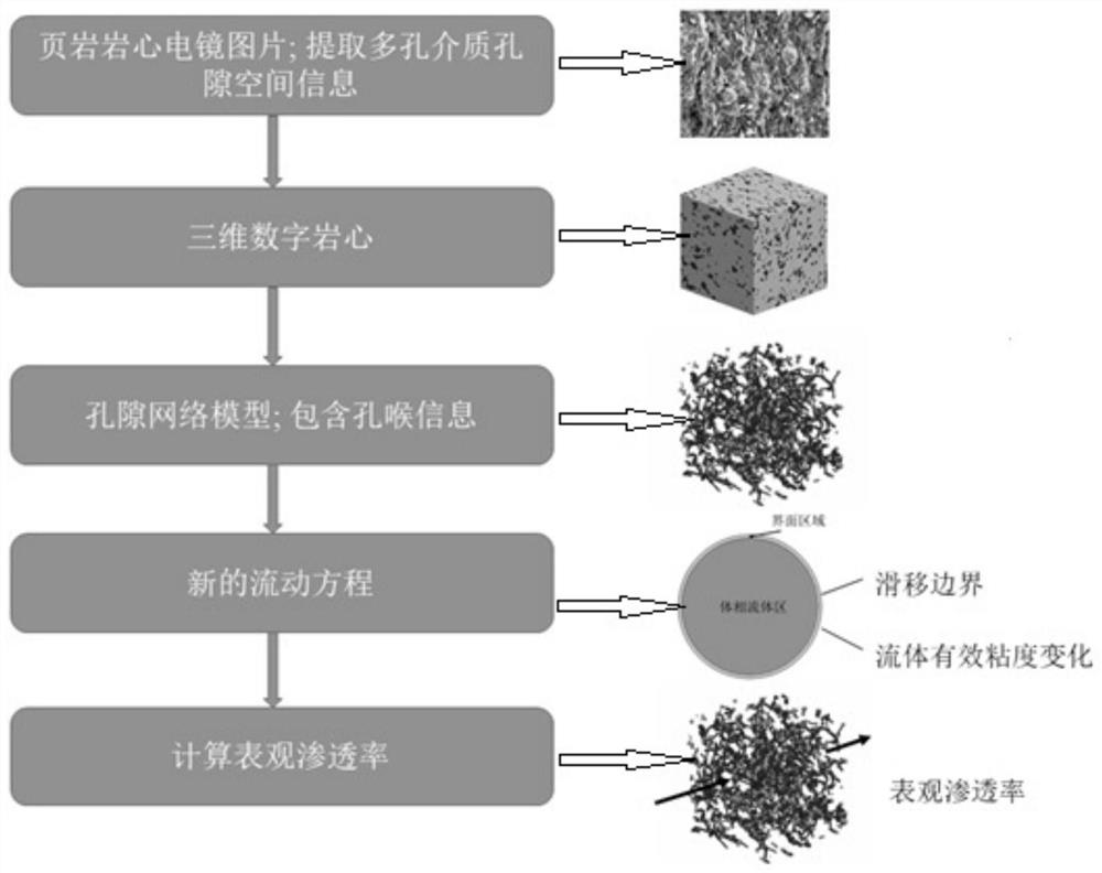 A Tight Oil Flow Simulation and Permeability Prediction Method Based on Pore Network Model