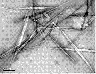 Method for preparing CaCO3 nanotube/podophyllum composite material