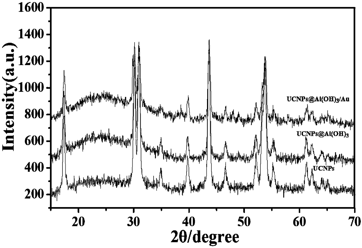 Composite Au nano particle as well as preparation method and application thereof
