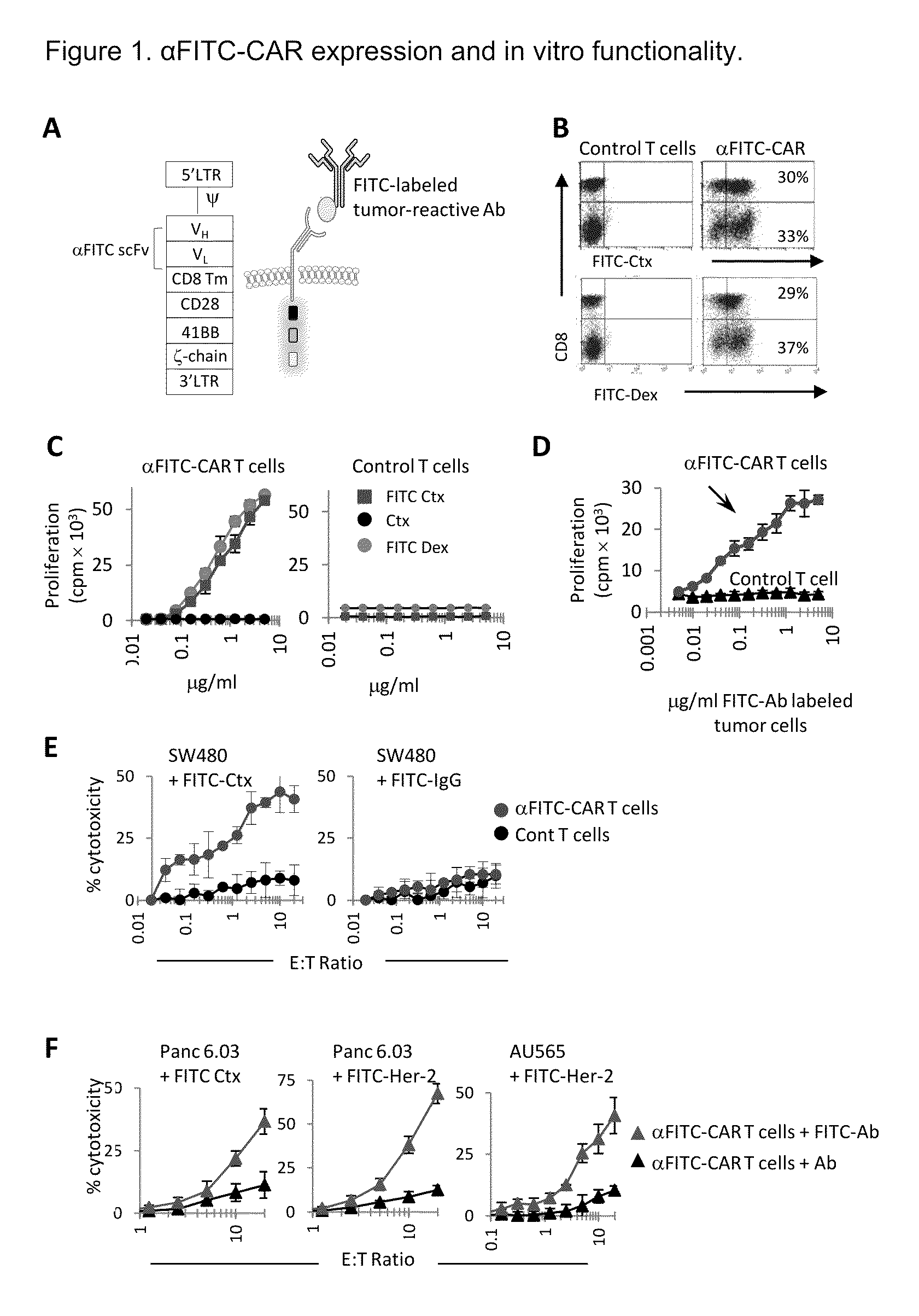 Universal anti-tag chimeric antigen receptor-expressing T cells and methods of treating cancer