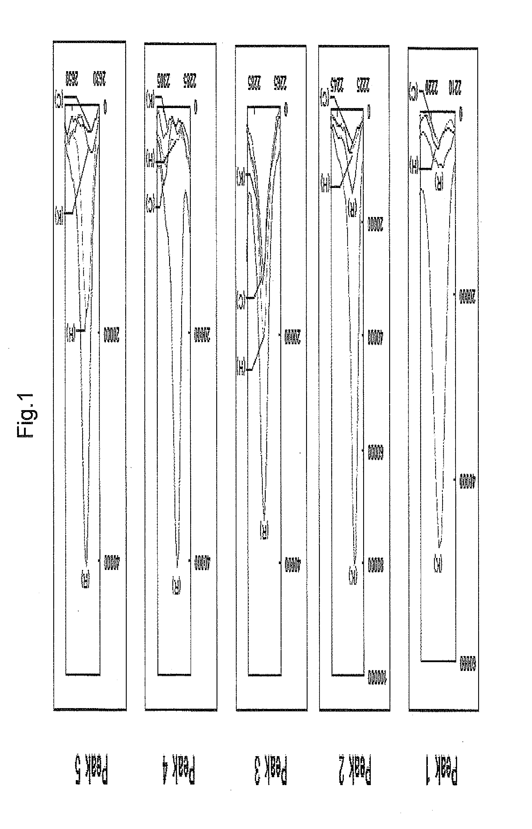 Periodontal-disease-specific peptide, and treatment and diagnosis of periodontal disease using same