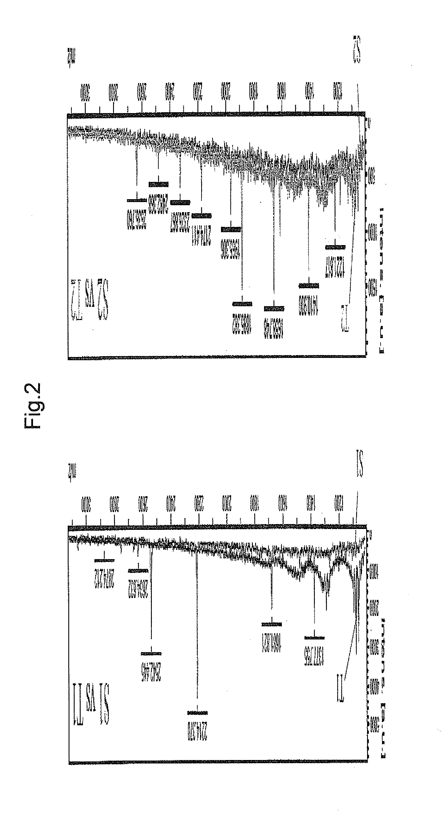 Periodontal-disease-specific peptide, and treatment and diagnosis of periodontal disease using same
