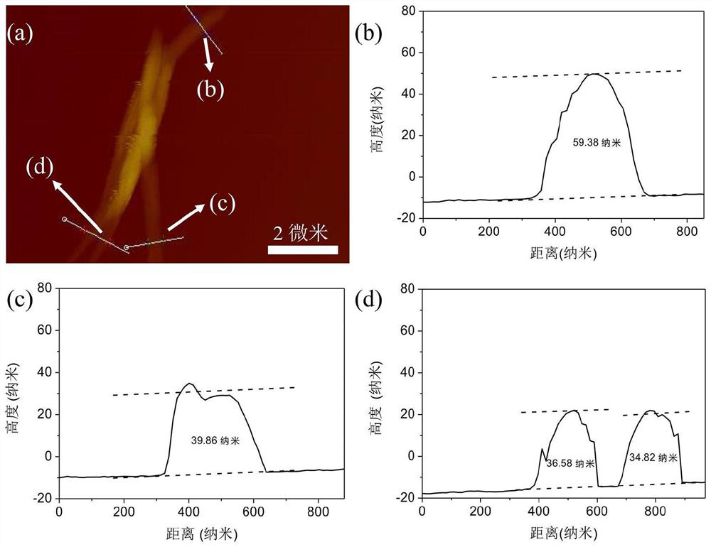 Polyphenol nano-strip, preparation method thereof and application of polyphenol nano-strip in radiation protection