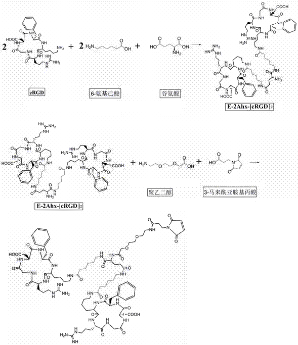 Structural molecule for affinity and target cell uptake capability of enhanced integrin receptor and application thereof