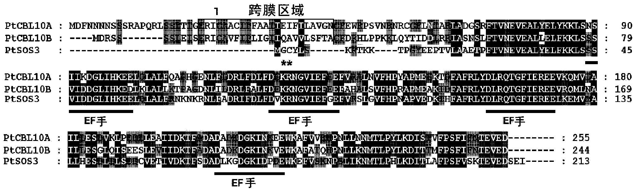 Method for improving adversity resistance of plants