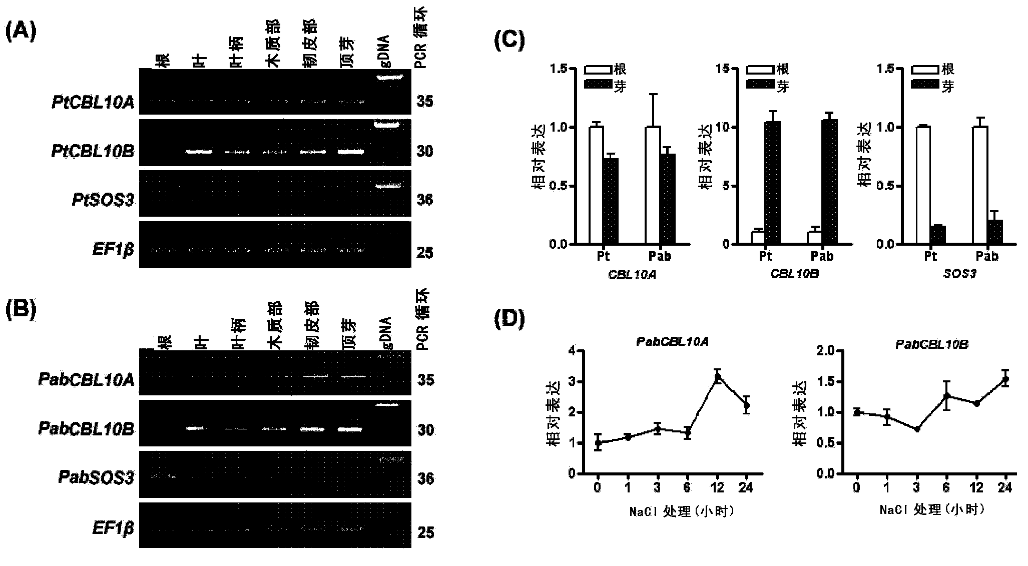 Method for improving adversity resistance of plants