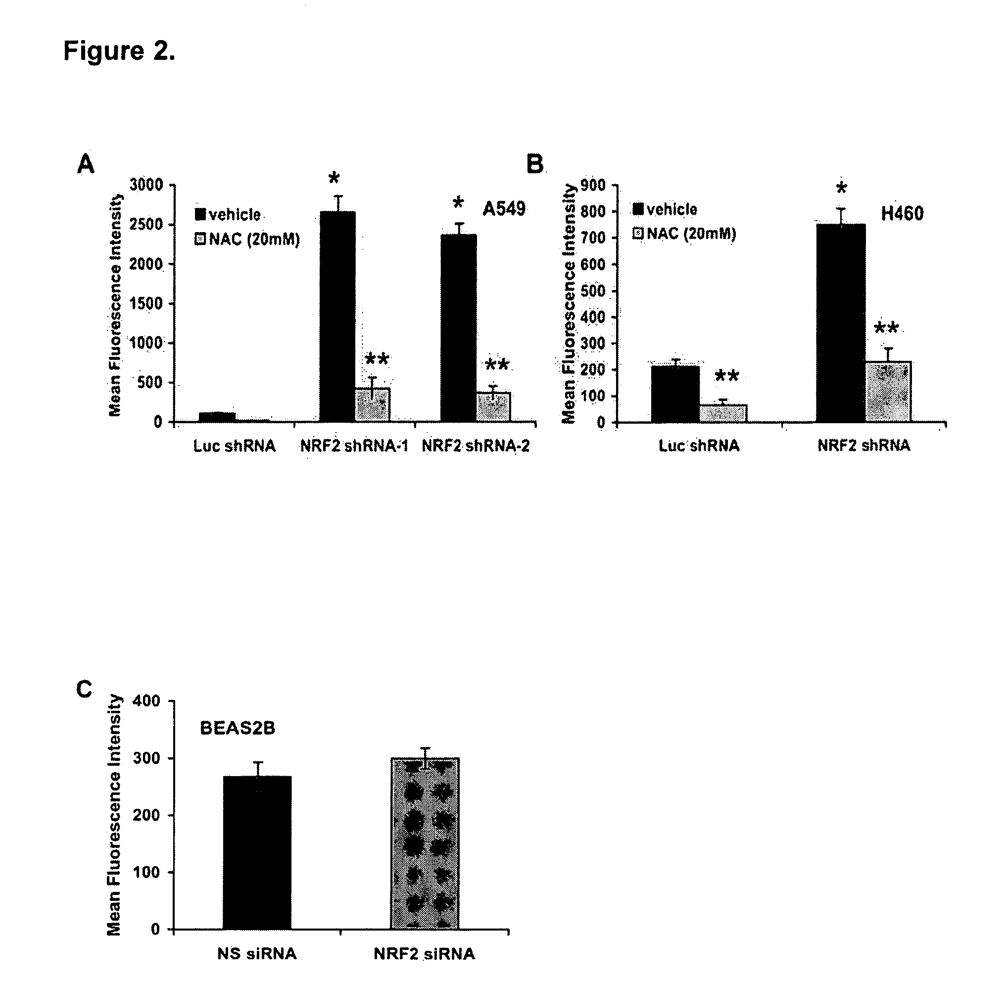 Methods and compositions for the treatment of cancer