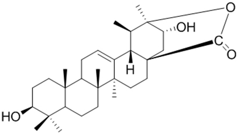 Nepetalactone as well as preparation method and application thereof