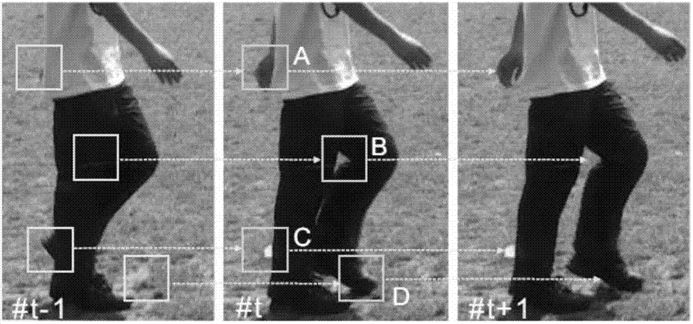 Pixel label propagation method based on directional tracing windows