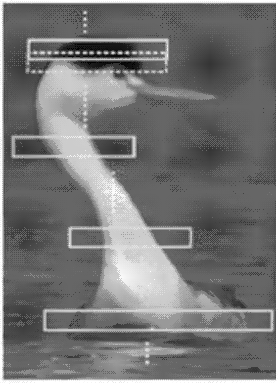 Pixel label propagation method based on directional tracing windows