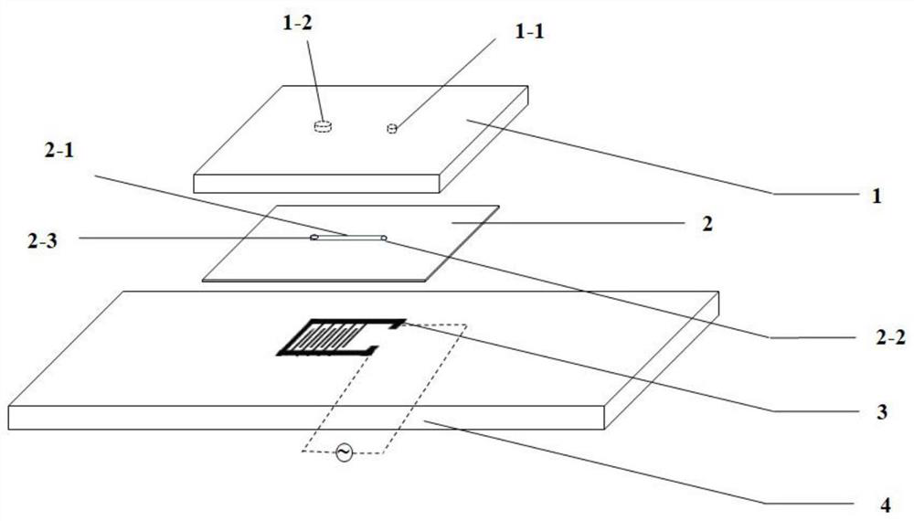 Microfluidic chip for bacterial lysis, bacterial lysis device and application of bacterial lysis device