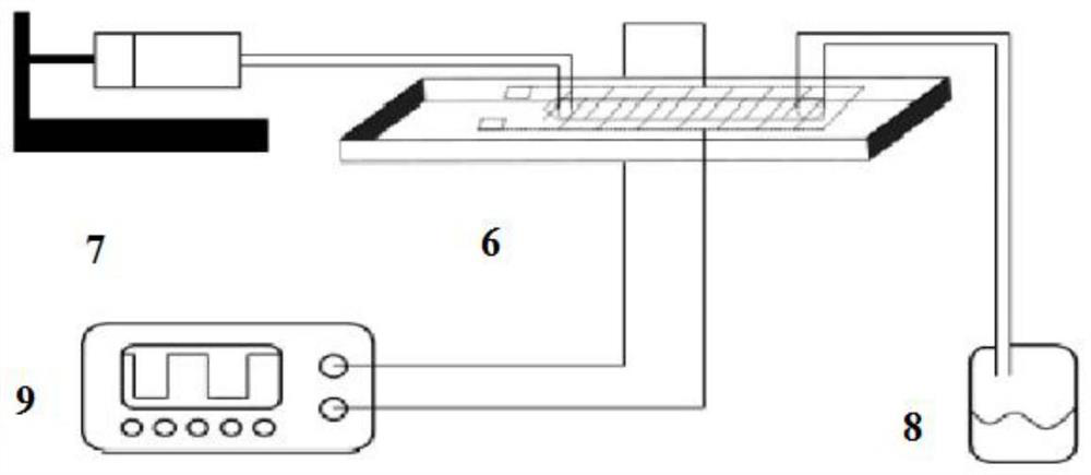 Microfluidic chip for bacterial lysis, bacterial lysis device and application of bacterial lysis device