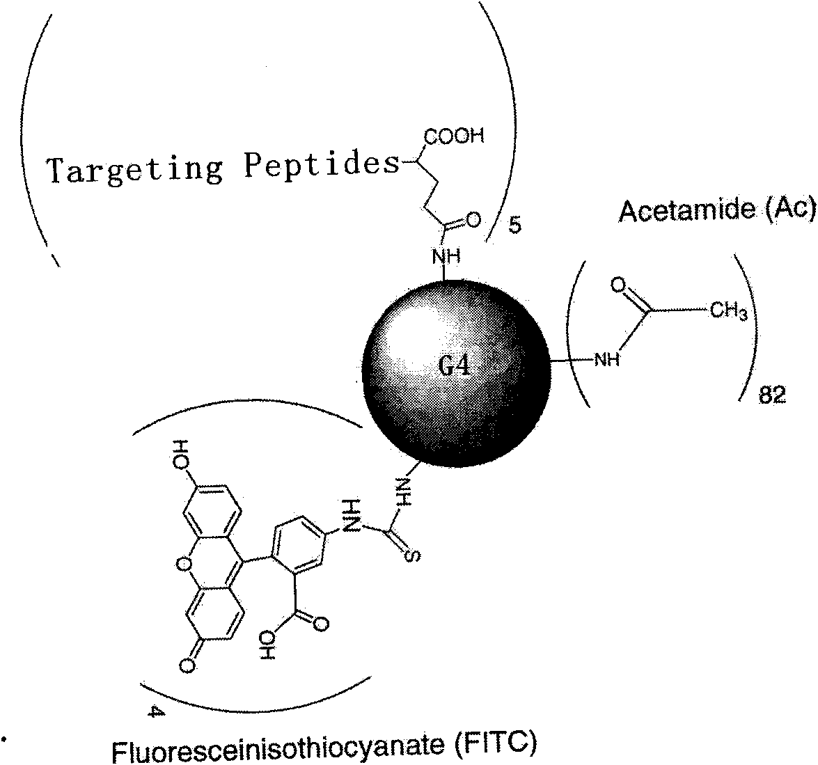 Tumor specific target polypeptide and application thereof
