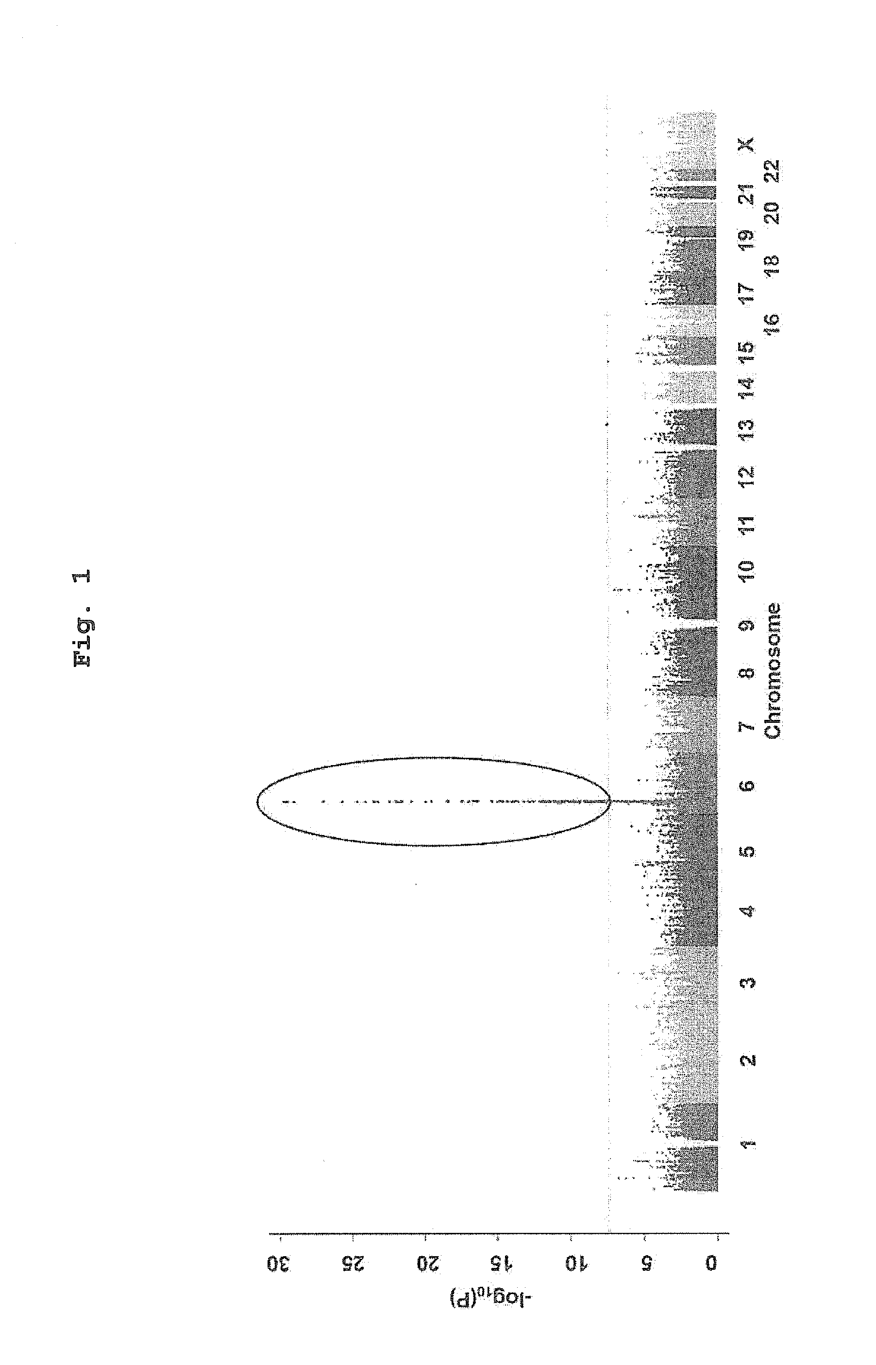 Test method for evaluating the risk of Anti-thyroid drug-induced agranulocytosis, and evaluation kit