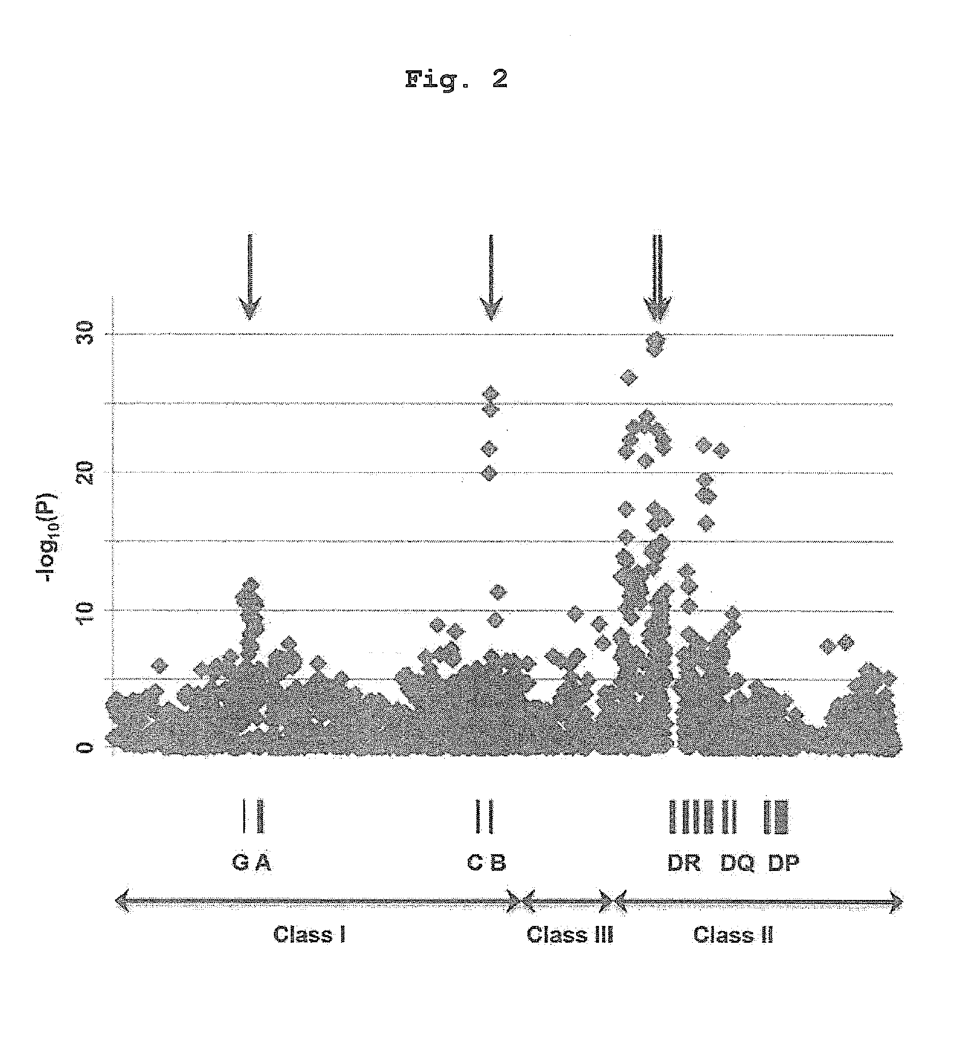 Test method for evaluating the risk of Anti-thyroid drug-induced agranulocytosis, and evaluation kit