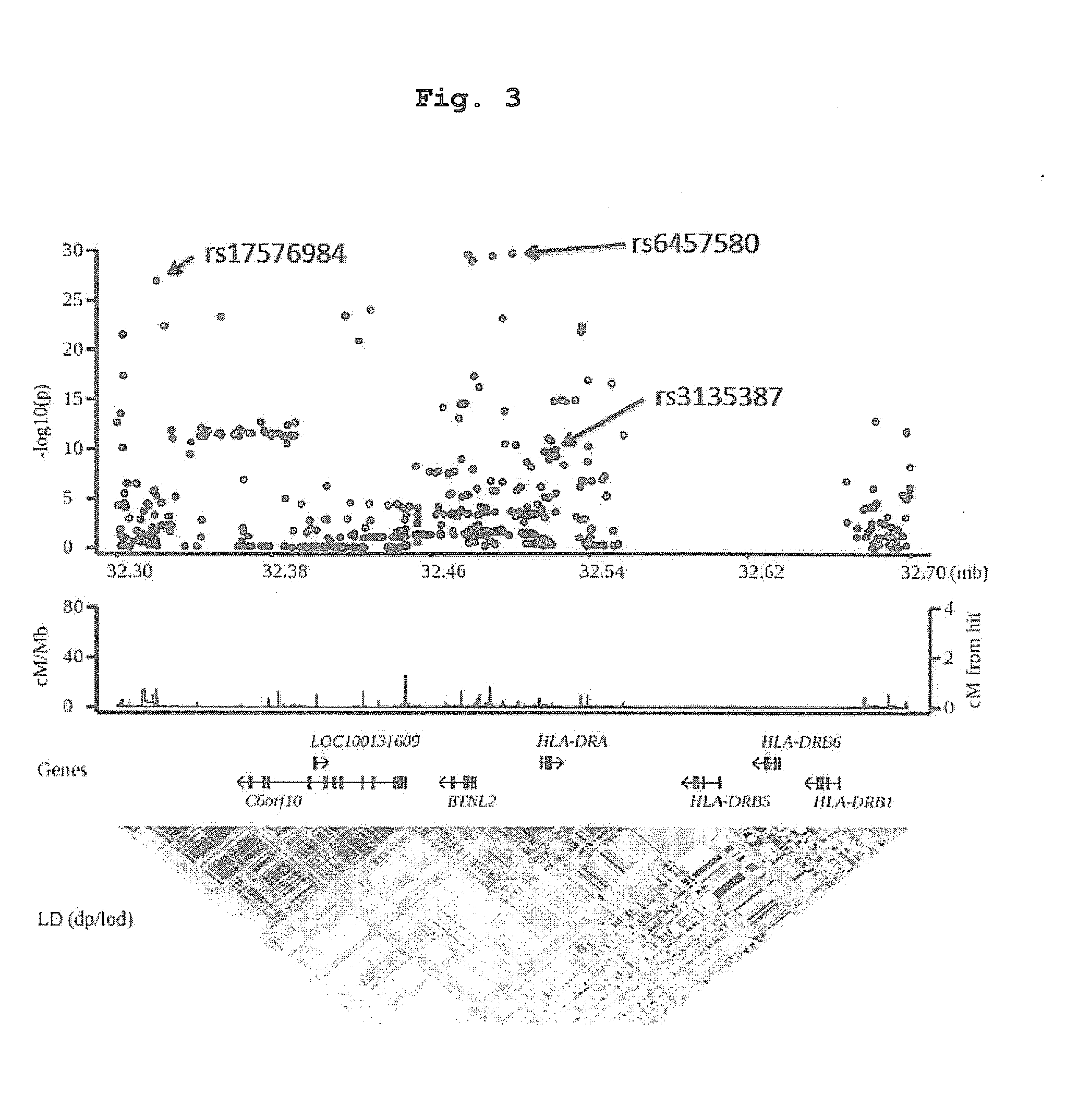 Test method for evaluating the risk of Anti-thyroid drug-induced agranulocytosis, and evaluation kit