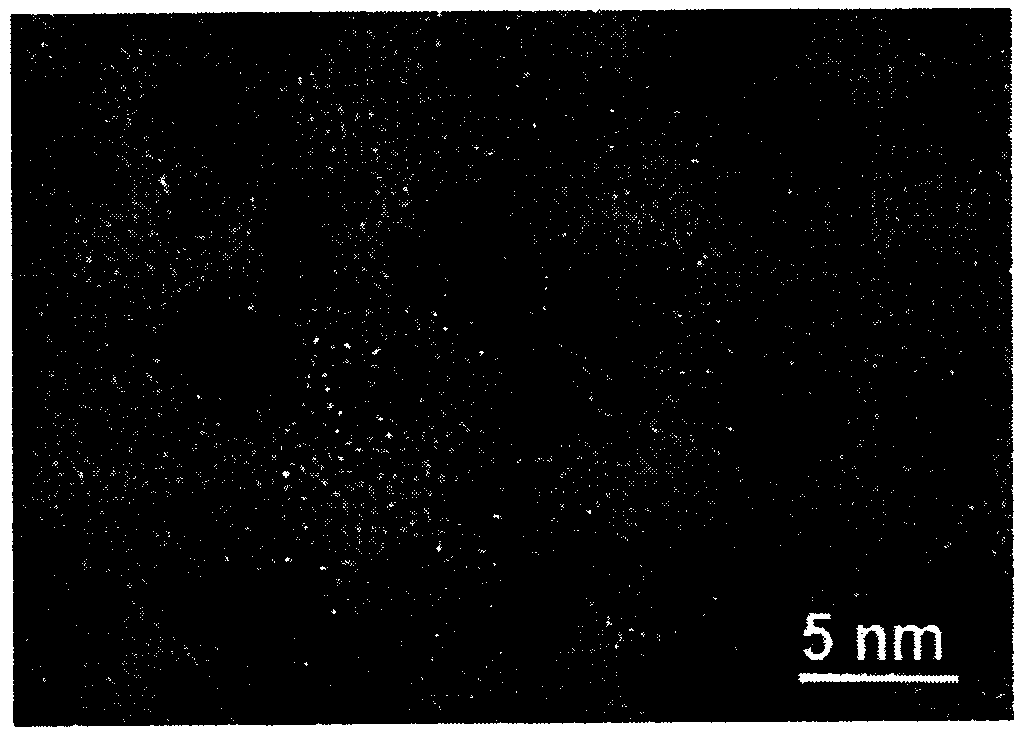 Preparation method of functionalized carbon quantum dot modified composite nanofiltration membrane