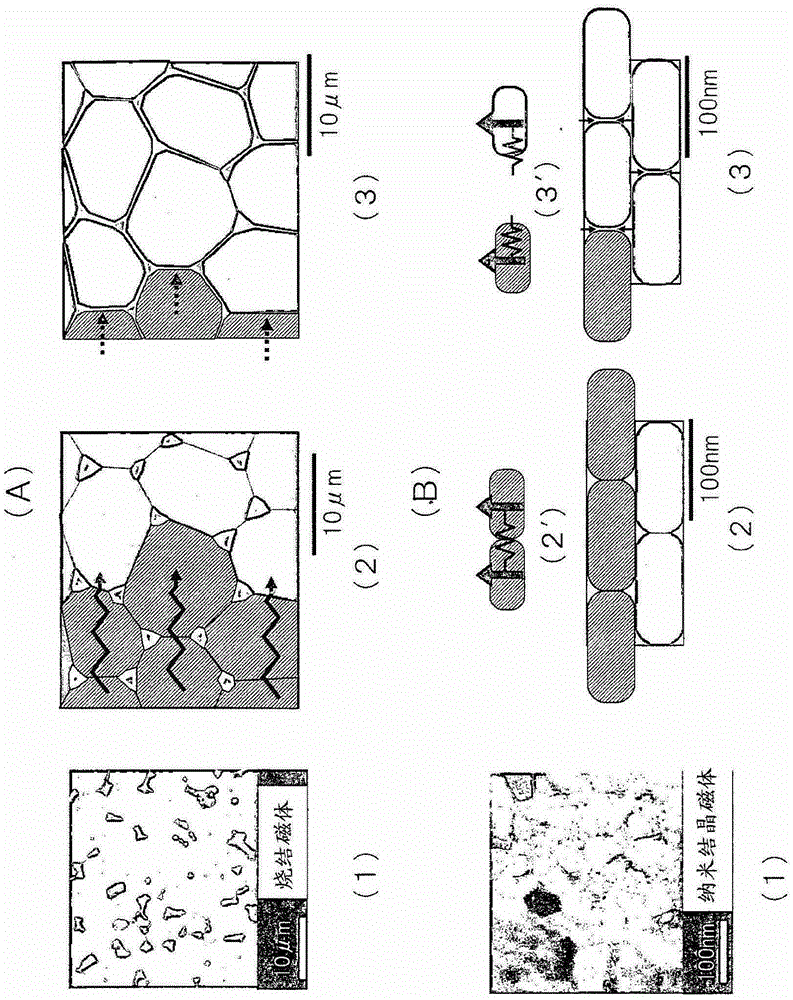 Preparation method of rare earth magnet