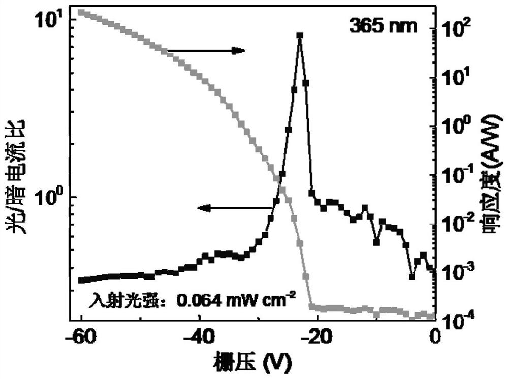 High performance organic transistor photodetector based on bulk heterojunction-layered structure