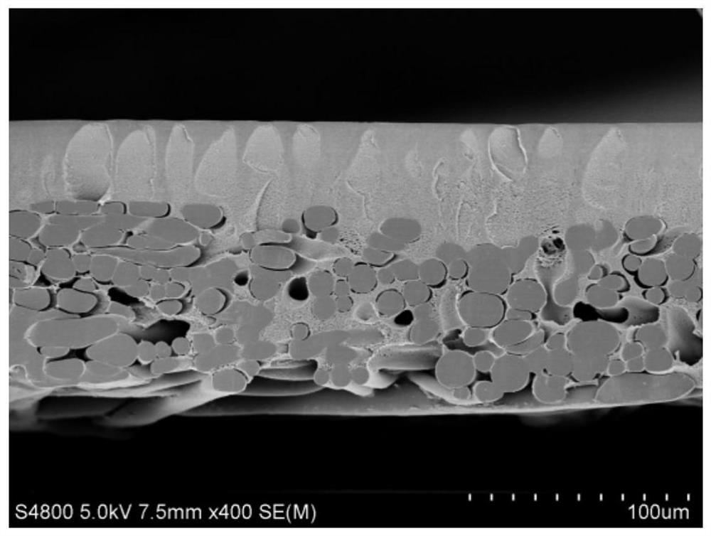 Preparation method of filter membrane section sample