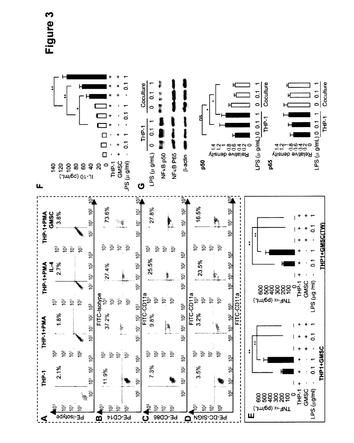 Methods of promoting wound healing and attenuating contact hypersensitivity with gingiva-derived mesenchymal stem cells