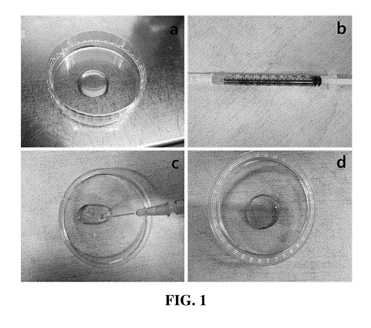 Composition containing mesenchymal stem cell-hydrogel and method for producing the composition