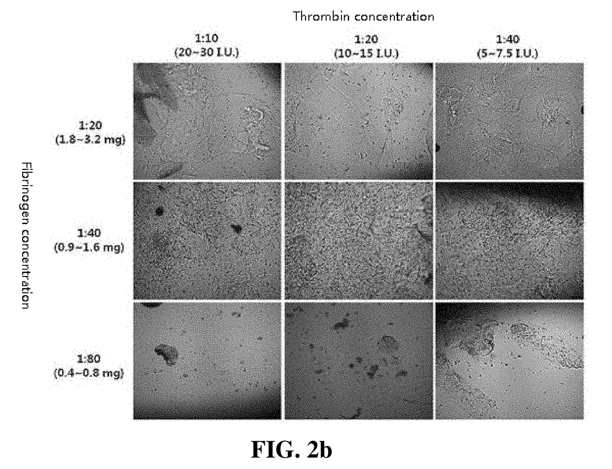 Composition containing mesenchymal stem cell-hydrogel and method for producing the composition