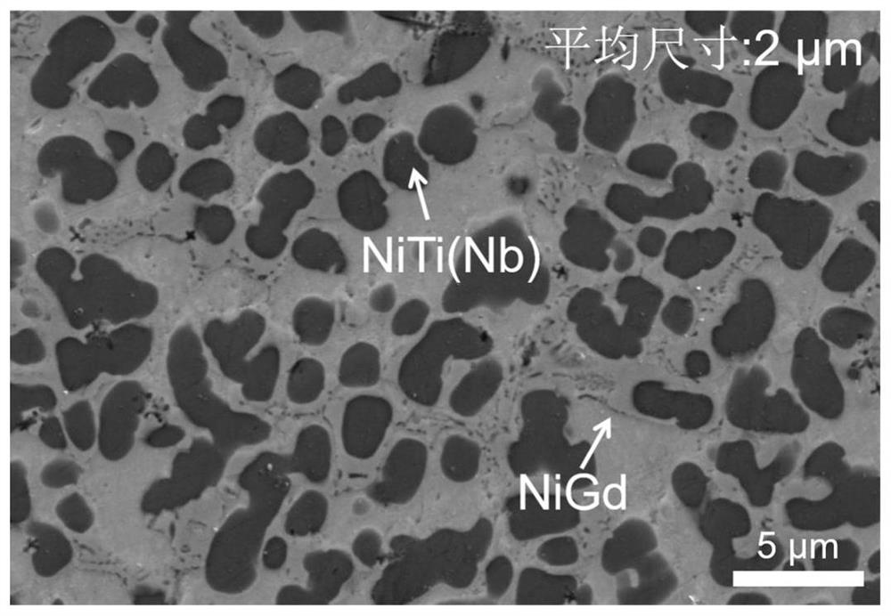 In-situ synthesis mixed phase reinforced magnesium-based amorphous composite material based on selective phase dissolution and preparation method thereof