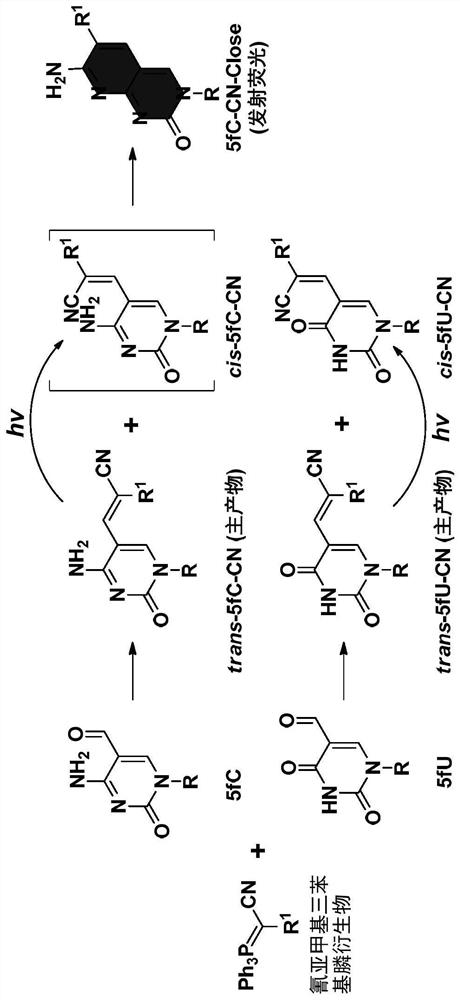 Methods for derivatizing aldehydepyrimidines, methods for detecting 5-formylcytosine, and applications of aldehydepyrimidine derivatives